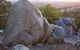 Bellevue Hill Reserve - thumb 0