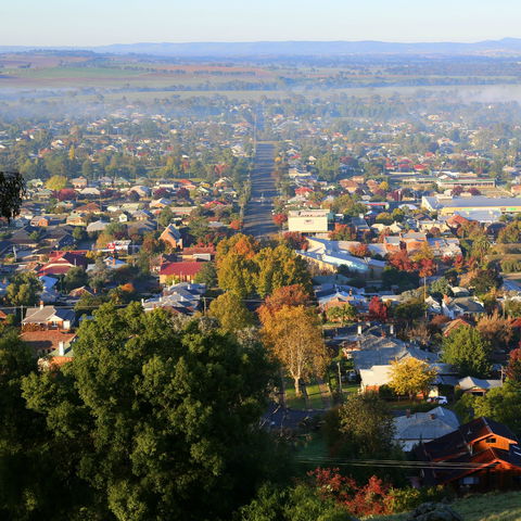 Bellevue Hill Reserve - VIC Tourism 1