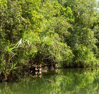 Berry Springs Nature Park - VIC Tourism