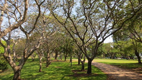 Bicentennial Park - VIC Tourism 1