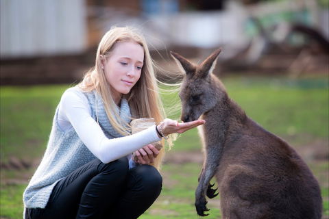 Bonorong Wildlife Sanctuary - VIC Tourism 1
