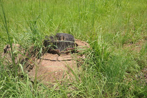 Brocks Creek Chinatown And Temple Site - VIC Tourism 0
