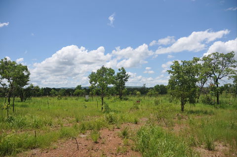 Brocks Creek Chinatown And Temple Site - VIC Tourism 1