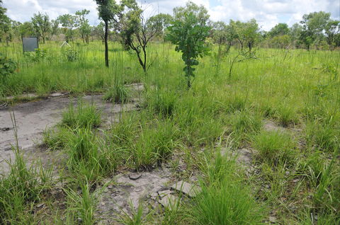 Brocks Creek Chinatown And Temple Site - VIC Tourism 2