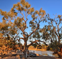 Burke and Wills Dig Tree - VIC Tourism