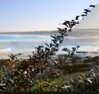 Cape Conran Coastal Park - VIC Tourism