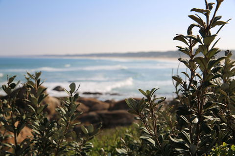 Cape Conran Coastal Park - VIC Tourism 0
