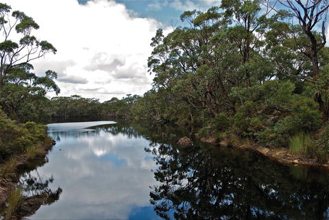 Cape Conran Coastal Park - VIC Tourism 2
