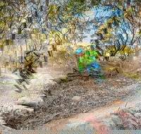 Castle Hill Blackstone Reserve - VIC Tourism