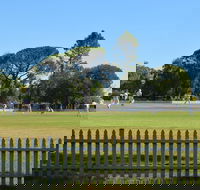 Cootamundra Cricketing Exploration - VIC Tourism