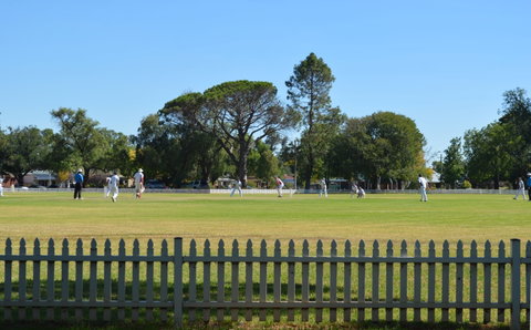Cootamundra Cricketing Exploration - VIC Tourism 0