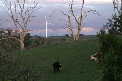Crookwell Wind Farm - VIC Tourism 1