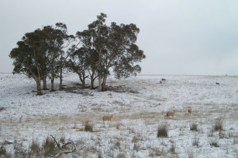 Crookwell Wind Farm - VIC Tourism 2