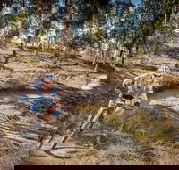 Cycle Mogo State Forest - VIC Tourism