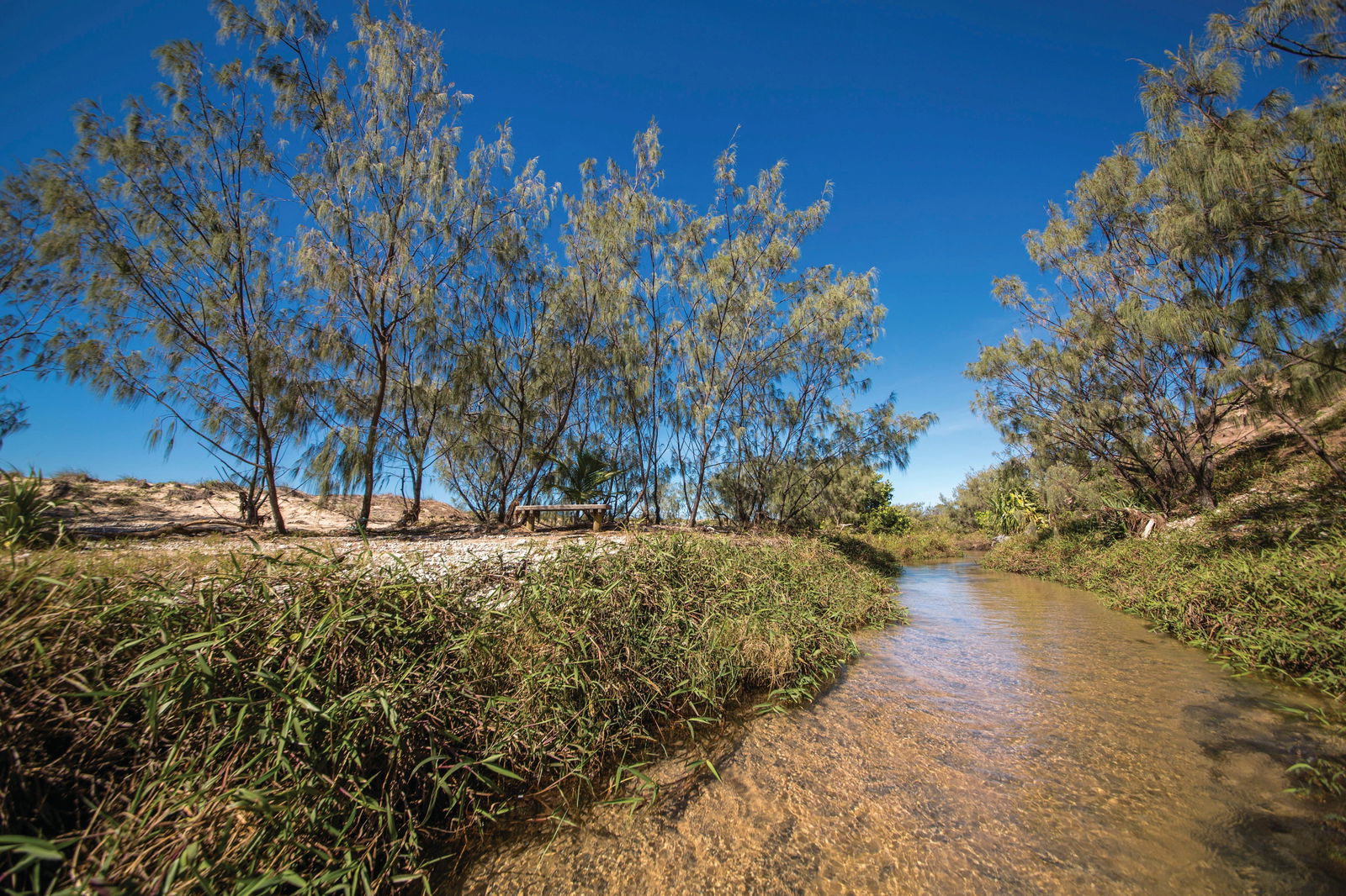 Farnborough QLD VIC Tourism