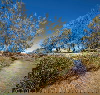 Freshwater Creek Track Byfield National Park - VIC Tourism
