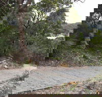 Great North Walk  Ku-ring-gai Chase National Park - VIC Tourism