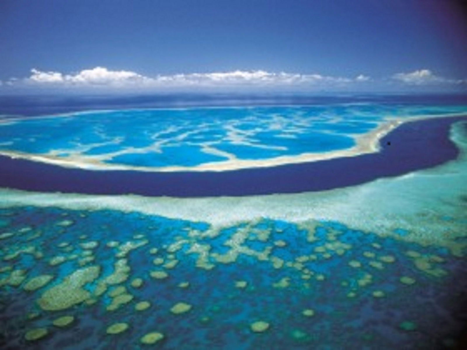  VIC Tourism
