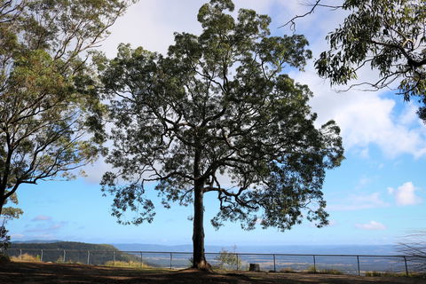 Heaton State Forest - Watagan Mountains - VIC Tourism 2