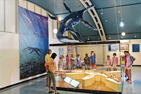 Kronosaurus Korner - VIC Tourism 2