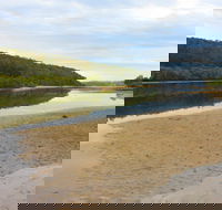 Mangrove Walk - VIC Tourism