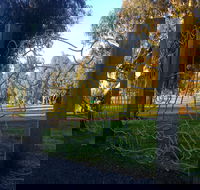 Mansfield Botanic Park - VIC Tourism