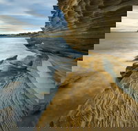 Maria Island - VIC Tourism