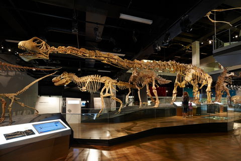 Melbourne Museum - VIC Tourism 1
