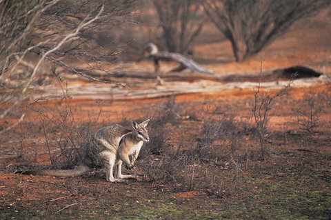 Mildura - VIC Tourism 2