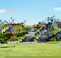 Moore Park Golf Course - VIC Tourism