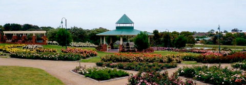 Mornington Botanical Rose Gardens - VIC Tourism 0