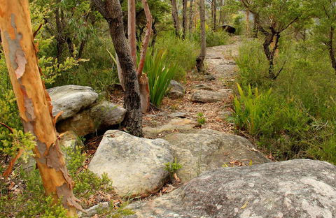 Mount Olive Trail - VIC Tourism 0