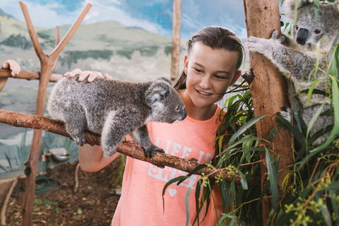 Oakvale Wildlife Park - VIC Tourism 0