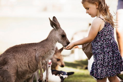 Oakvale Wildlife Park - VIC Tourism 1