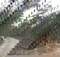 Paddys Ranges State Park - VIC Tourism