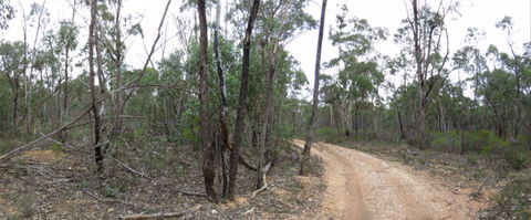 Paddys Ranges State Park - VIC Tourism 0