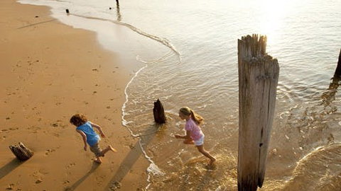 Phillip Island - VIC Tourism 0