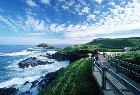 Phillip Island - VIC Tourism 1
