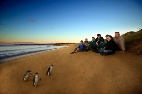Phillip Island - VIC Tourism 2