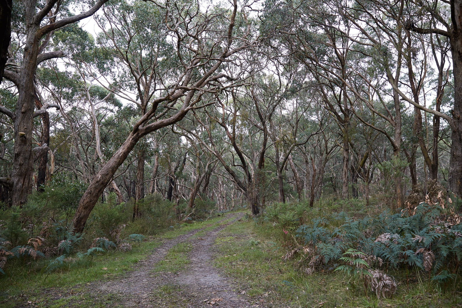  VIC Tourism