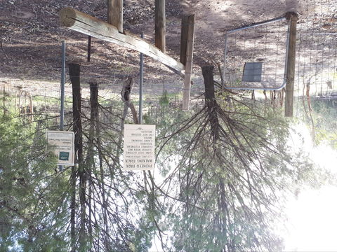 Pioneer Park - VIC Tourism 1