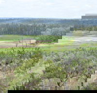 Princess Hills Girringun National Park - VIC Tourism