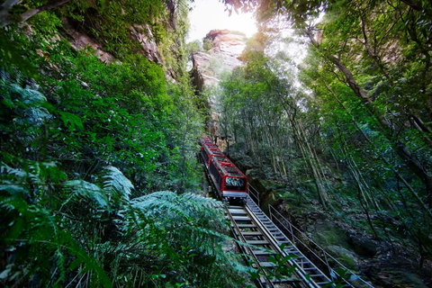 Scenic World Blue Mountains - VIC Tourism 0