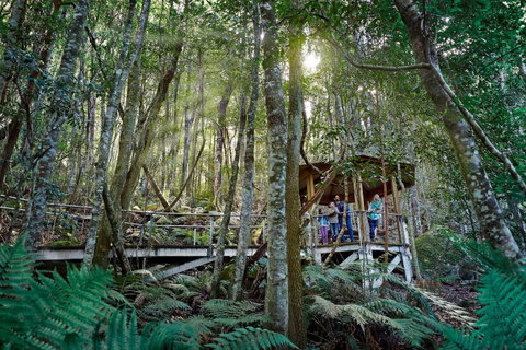 Scenic World Blue Mountains - VIC Tourism 2