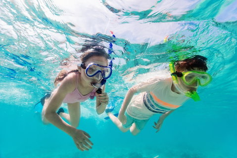 Snorkel Hat Head Creek - VIC Tourism 0