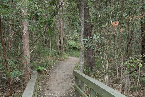 Springwood Conservation Park - VIC Tourism 0