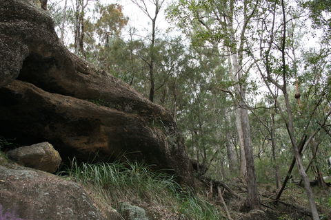 Springwood Conservation Park - VIC Tourism 2