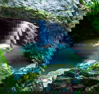 Springbrook - VIC Tourism