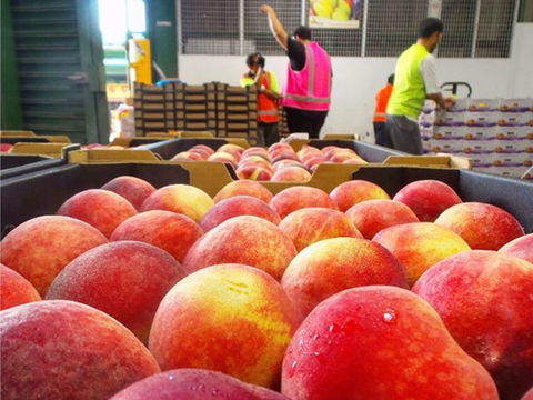Sydney Produce Market - VIC Tourism 0