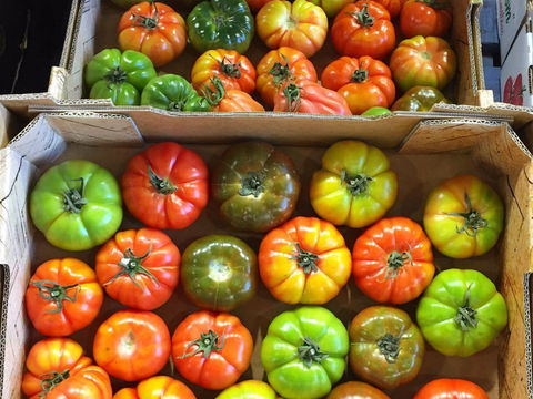 Sydney Produce Market - VIC Tourism 1